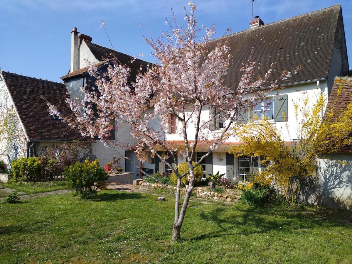 Saint-Brisson-sur-LoireLa Ribambelle住宿加早餐旅馆 外观 照片